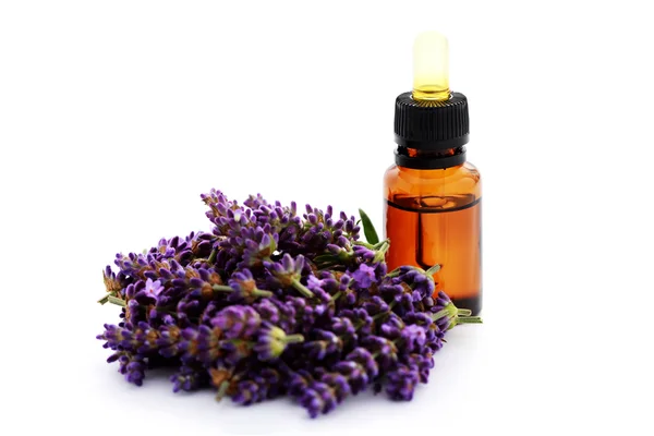 Lavendel æterisk olie - Stock-foto