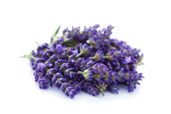 Lavendelhaufen — Stockfoto