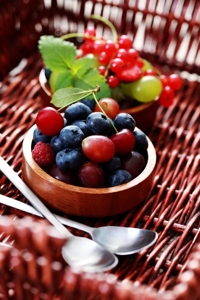 Frutti di bosco — Foto Stock