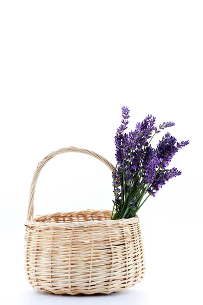 Korg med lavendel blommor — Stockfoto