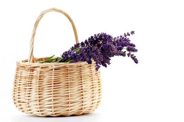 Korg med lavendel blommor — Stockfoto
