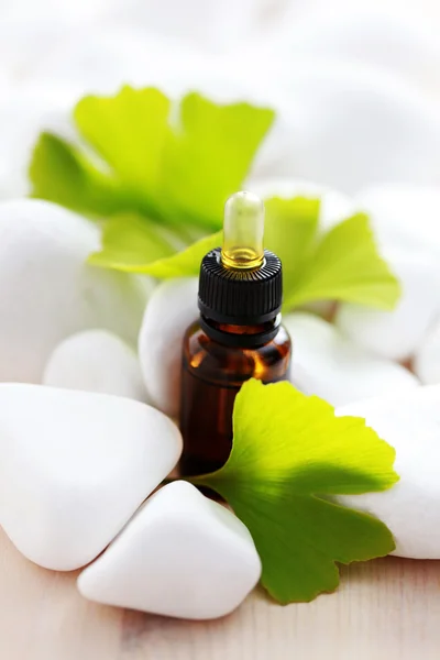 Ginko essential oil — Stock Photo, Image