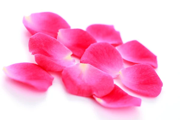 Rózsaszirmok — Stock Fotó