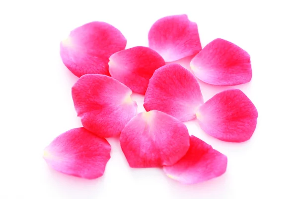 Rosa pétalas de rosa — Fotografia de Stock