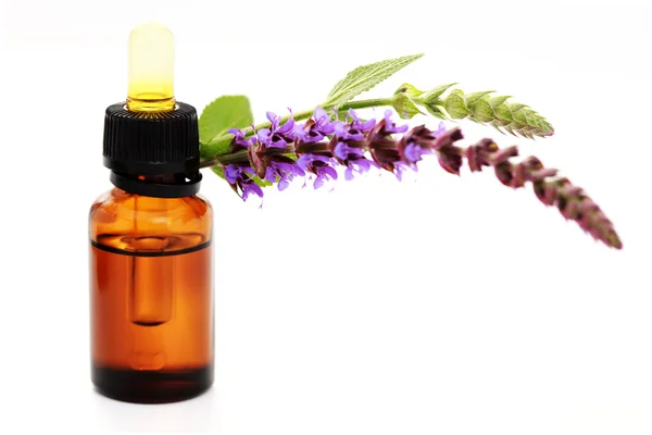 stock image Sage essential oil