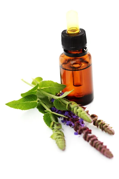 Sage essential oil — Stock Photo, Image