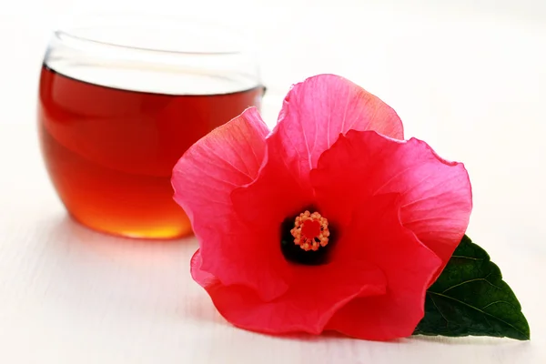 Ceai Hibiscus — Fotografie, imagine de stoc