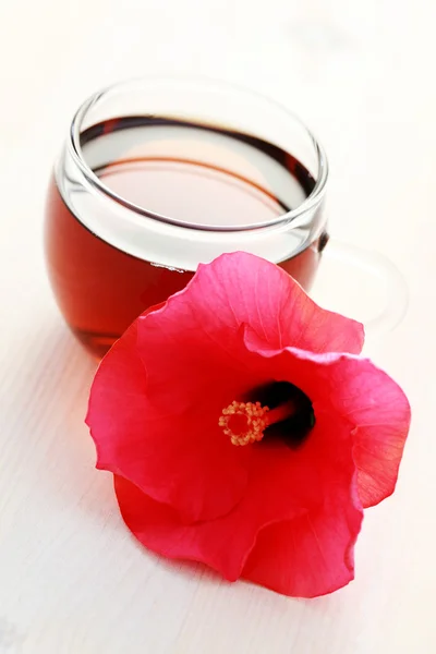 stock image Hibiscus tea