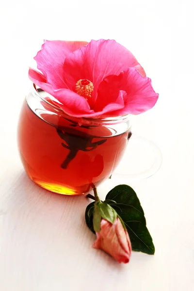 Chá Hibisco — Fotografia de Stock