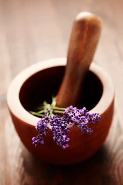 Lavender with mortar and pestle — Stock Photo, Image
