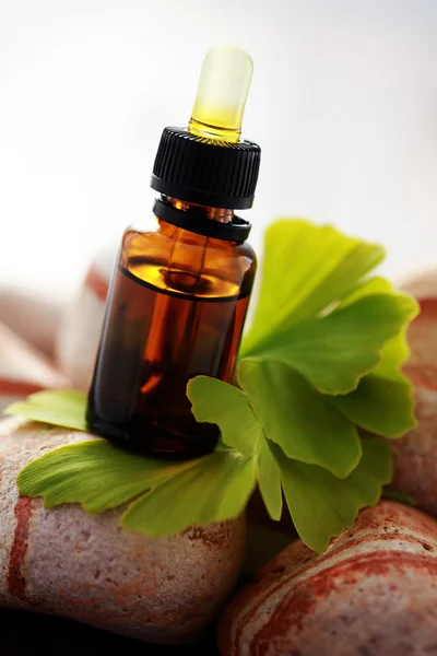 Ginko essential oil — Stock Photo, Image