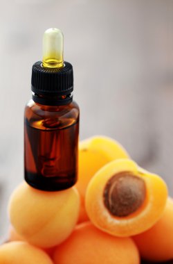 Apricot essential oil clipart