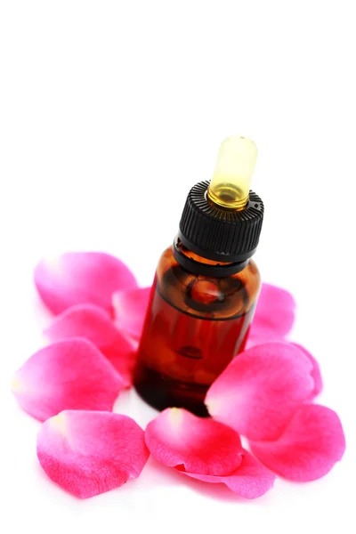 Rose essential oil Stock Picture