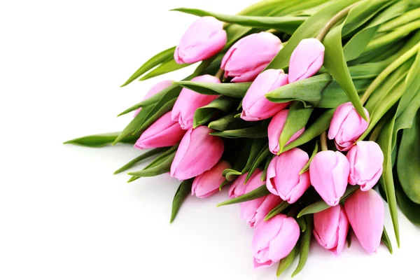白色背景-花上可爱的粉色郁金香花束 — 图库照片
