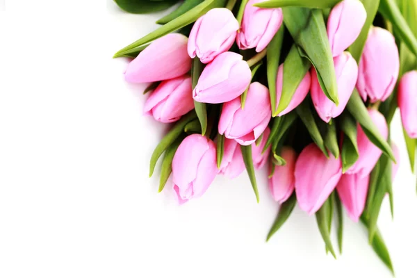 Buquê de tulipas rosa encantadoras em fundo branco - flores — Fotografia de Stock