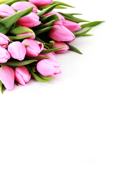 Букет з красивих рожевих тюльпанів — стокове фото