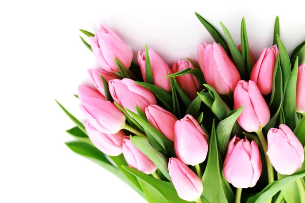 Kytice krásné růžové tulipány na bílém pozadí - květiny — Stock fotografie