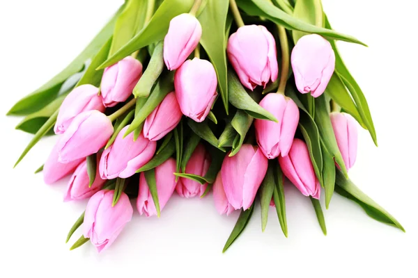 Strauß schöner rosa Tulpen auf weißem Hintergrund - Blumen — Stockfoto