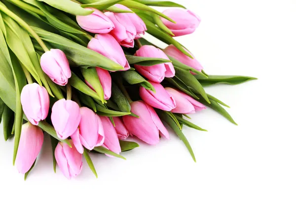 白色背景-花上可爱的粉色郁金香花束 — 图库照片