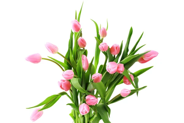 Букет прекрасных розовых тюльпанов на белом фоне - цветы — стоковое фото