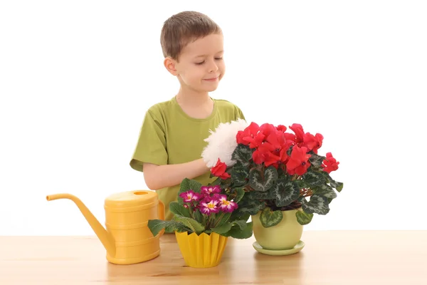 stock image Gardener