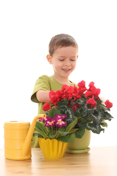 stock image Gardener