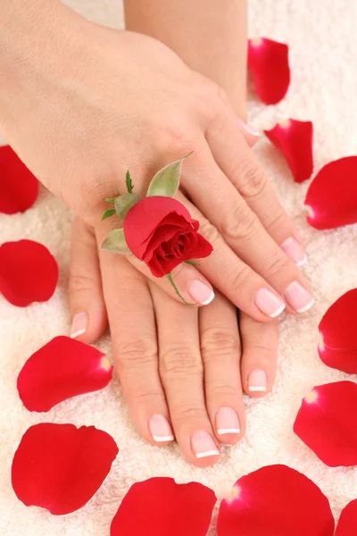 Beautiful hands Royalty Free Stock Images