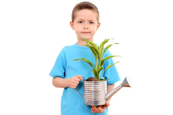 stock image Gardener