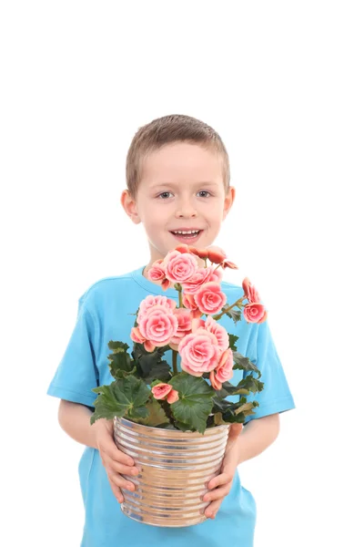 Menino com flor em vaso — Fotografia de Stock