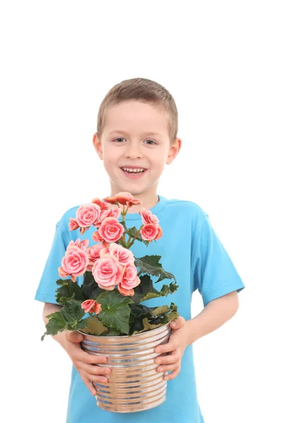 Хлопчик з горшковою квіткою — стокове фото