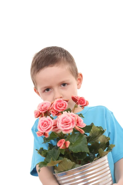 Junge mit Topfblume — Stockfoto
