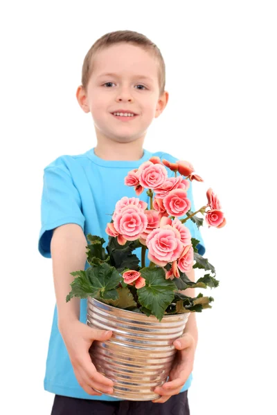 Αγόρι με γλάστρες λουλουδιών — Φωτογραφία Αρχείου