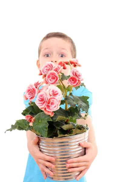 盆栽花卉的男孩 — 图库照片