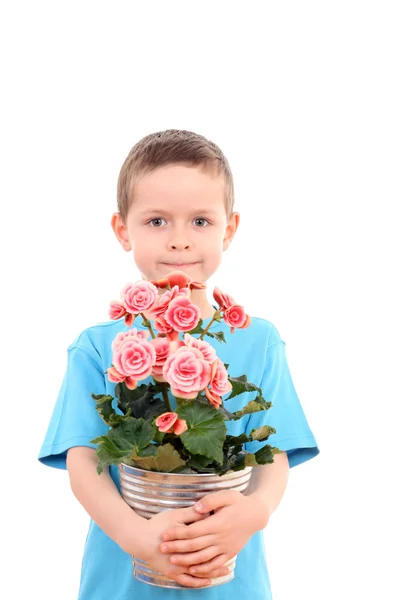 Niño con flor en maceta —  Fotos de Stock