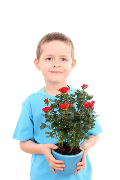 Junge mit Topfblume — Stockfoto