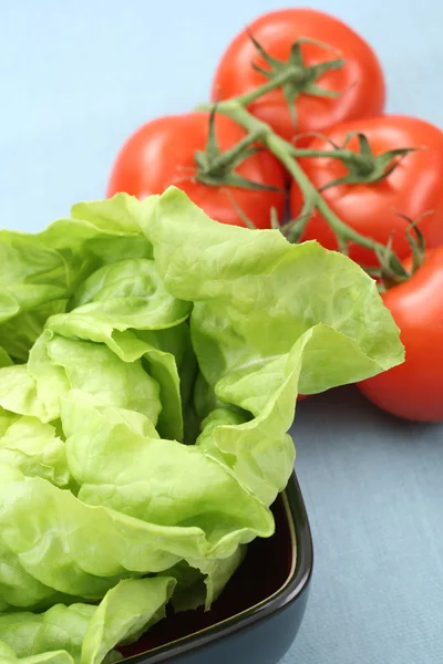 stock image Salad