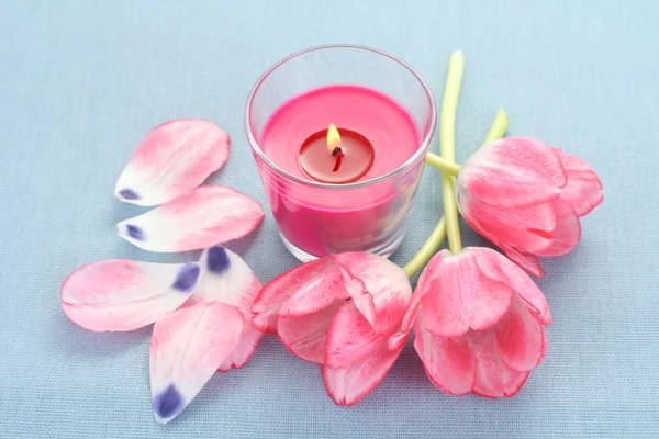 Spring aroma — Stock Photo, Image