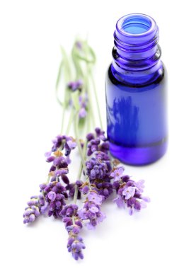 Lavender oil clipart