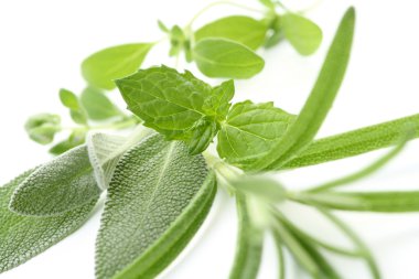 Fresh herbs clipart