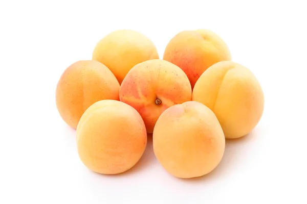 stock image Apricots