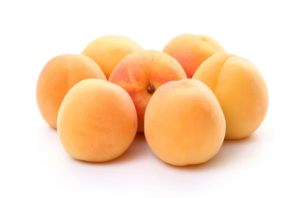 stock image Apricots