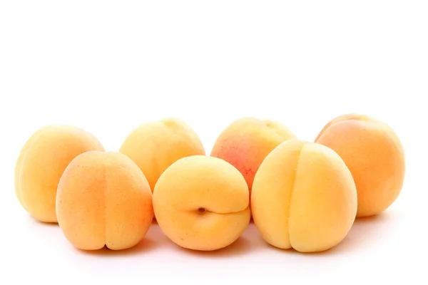 stock image Apricots