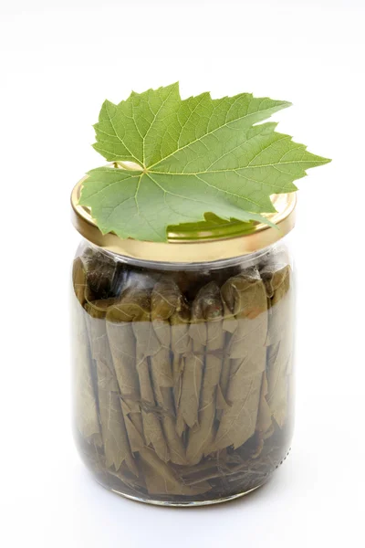 박제 포도 나무 잎 — 스톡 사진