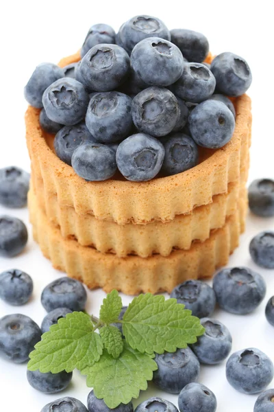 stock image Blueberry pie