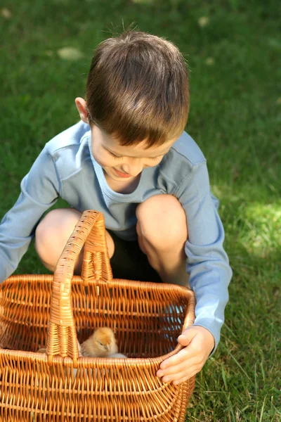 Pojke och kyckling — Stockfoto