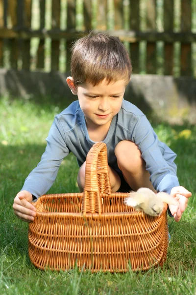 Boy and chicken — Stock Photo, Image