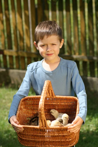 Chlapec a kuře — Stock fotografie