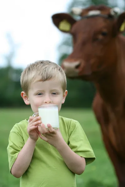 ดื่มนม — ภาพถ่ายสต็อก