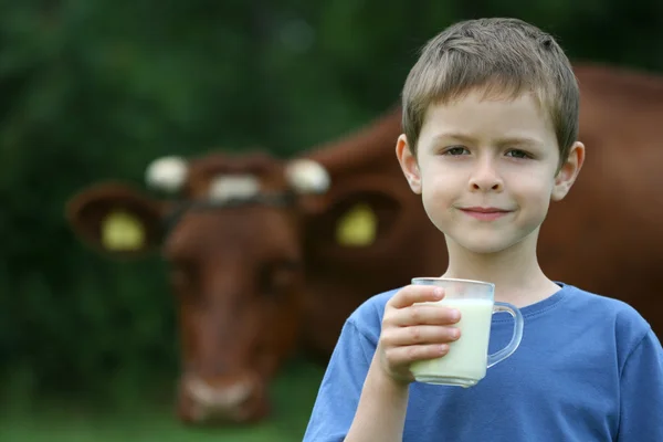 İçme Sütü — Stok fotoğraf