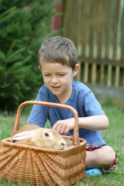 stock image Boy and rabbit